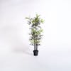 Small artificial black stem bamboo tree