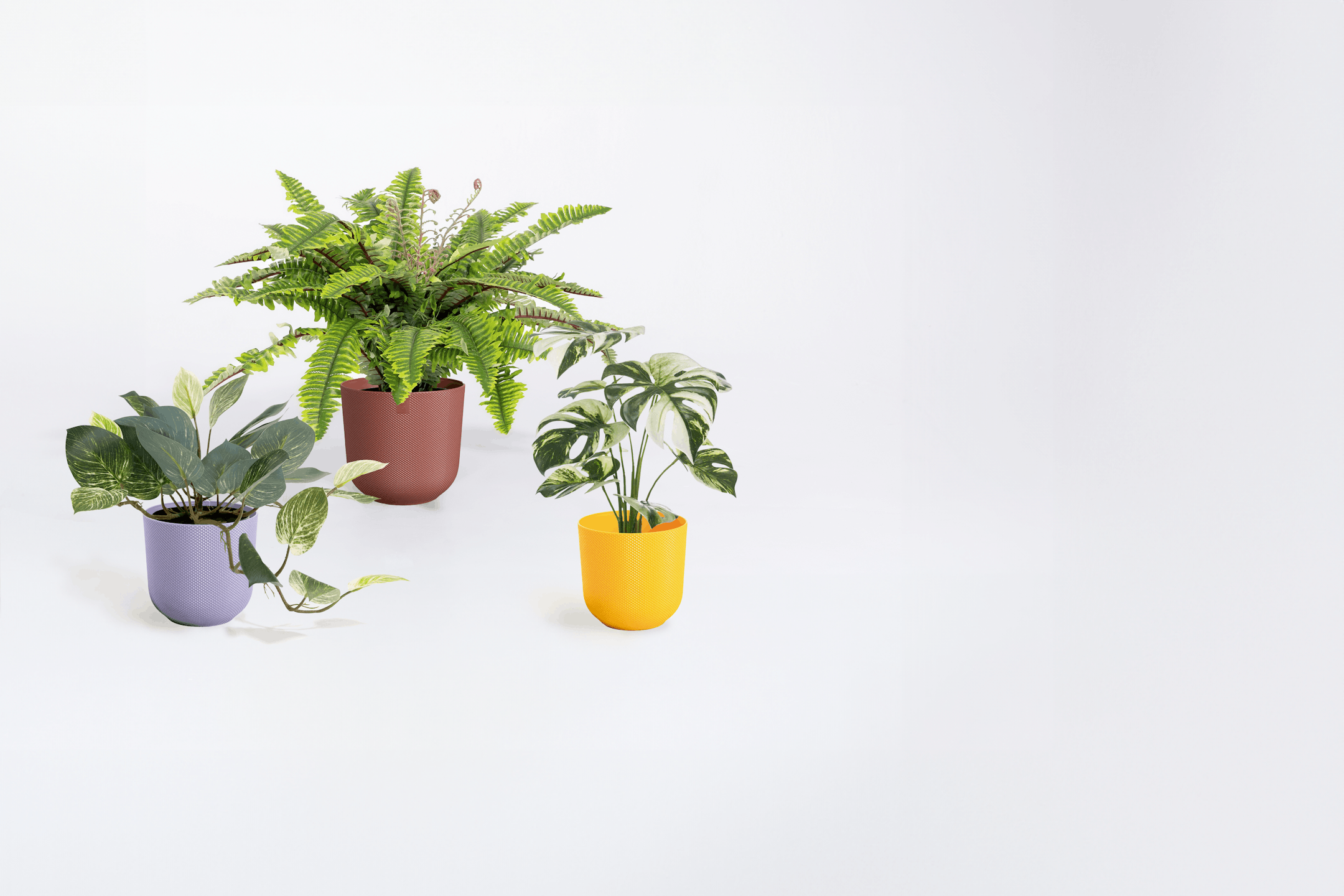 Artificial Boston fern, pothos & monstera albo in colourful pots