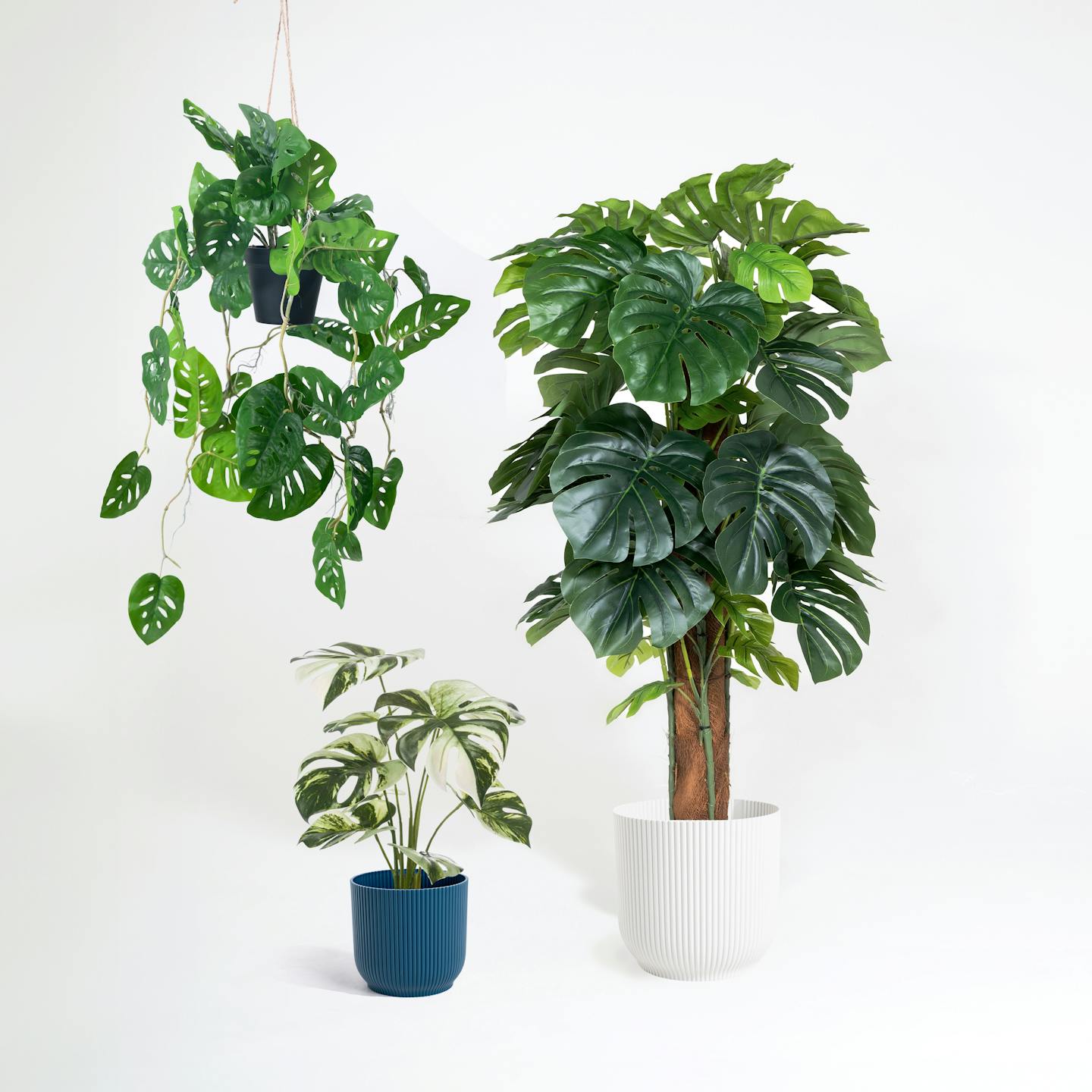 Artificial cheese plant monstera bundle by Blooming Artificial