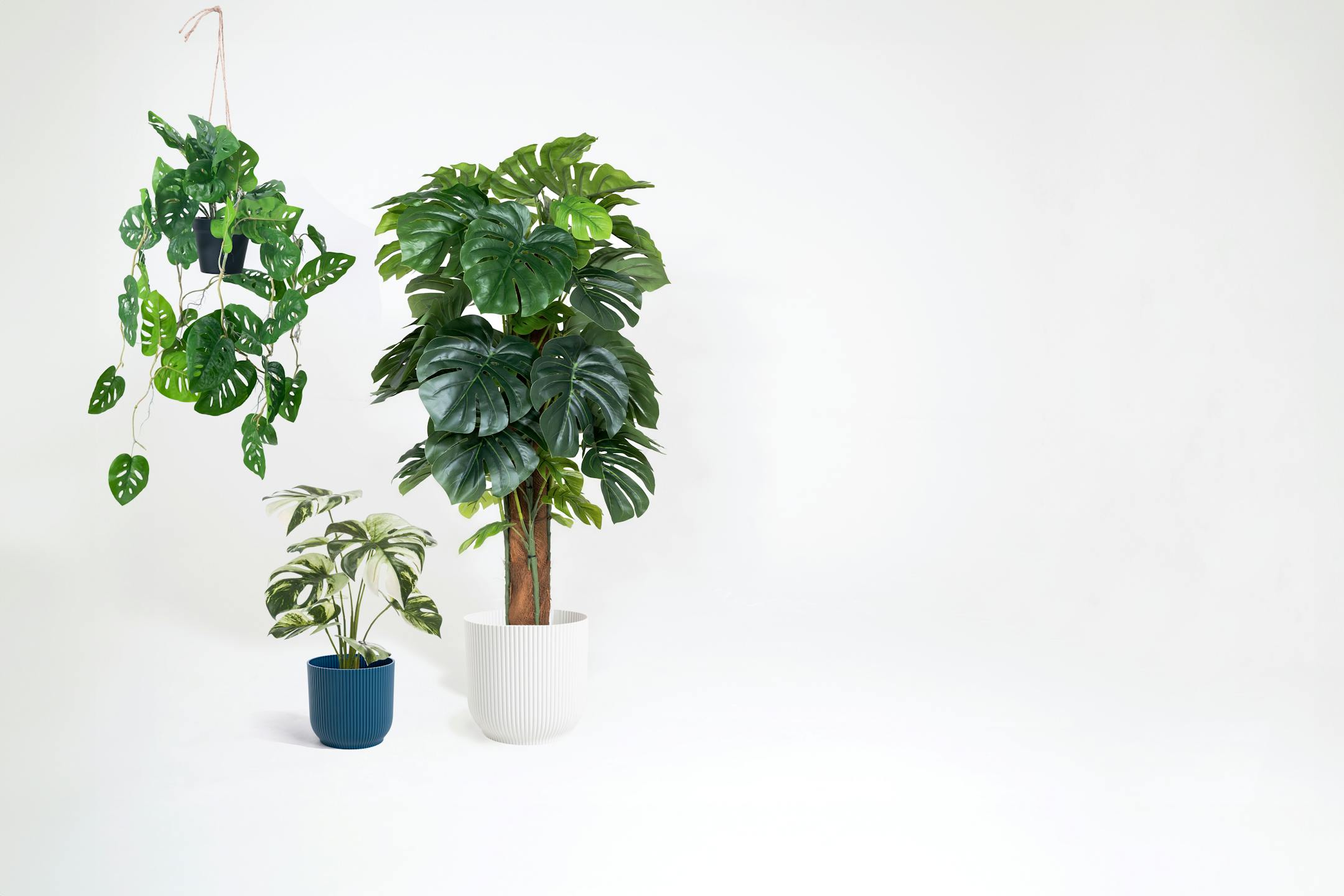 Artificial monstera plant bundle by Blooming Artificial