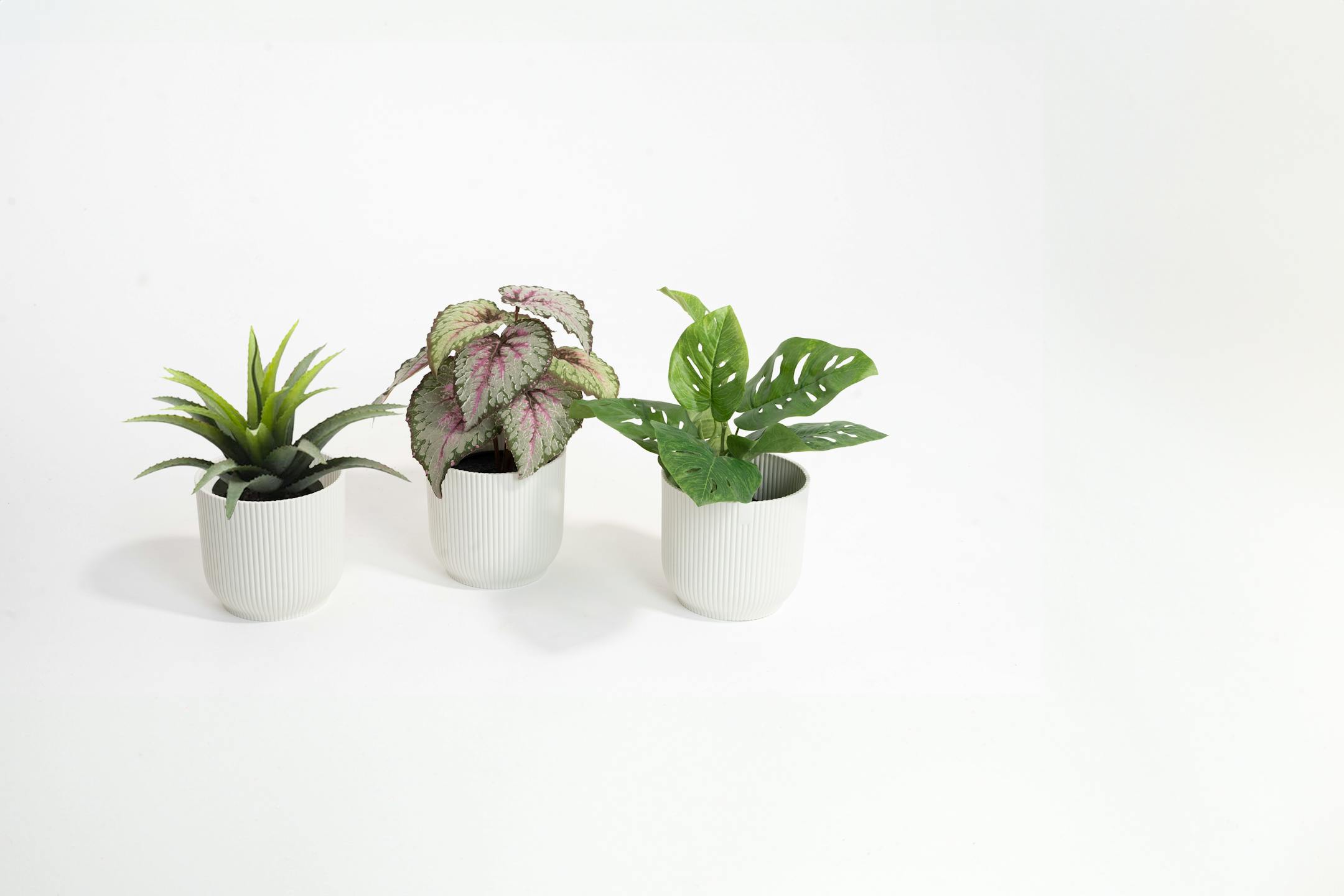 Small artificial plant pack 2