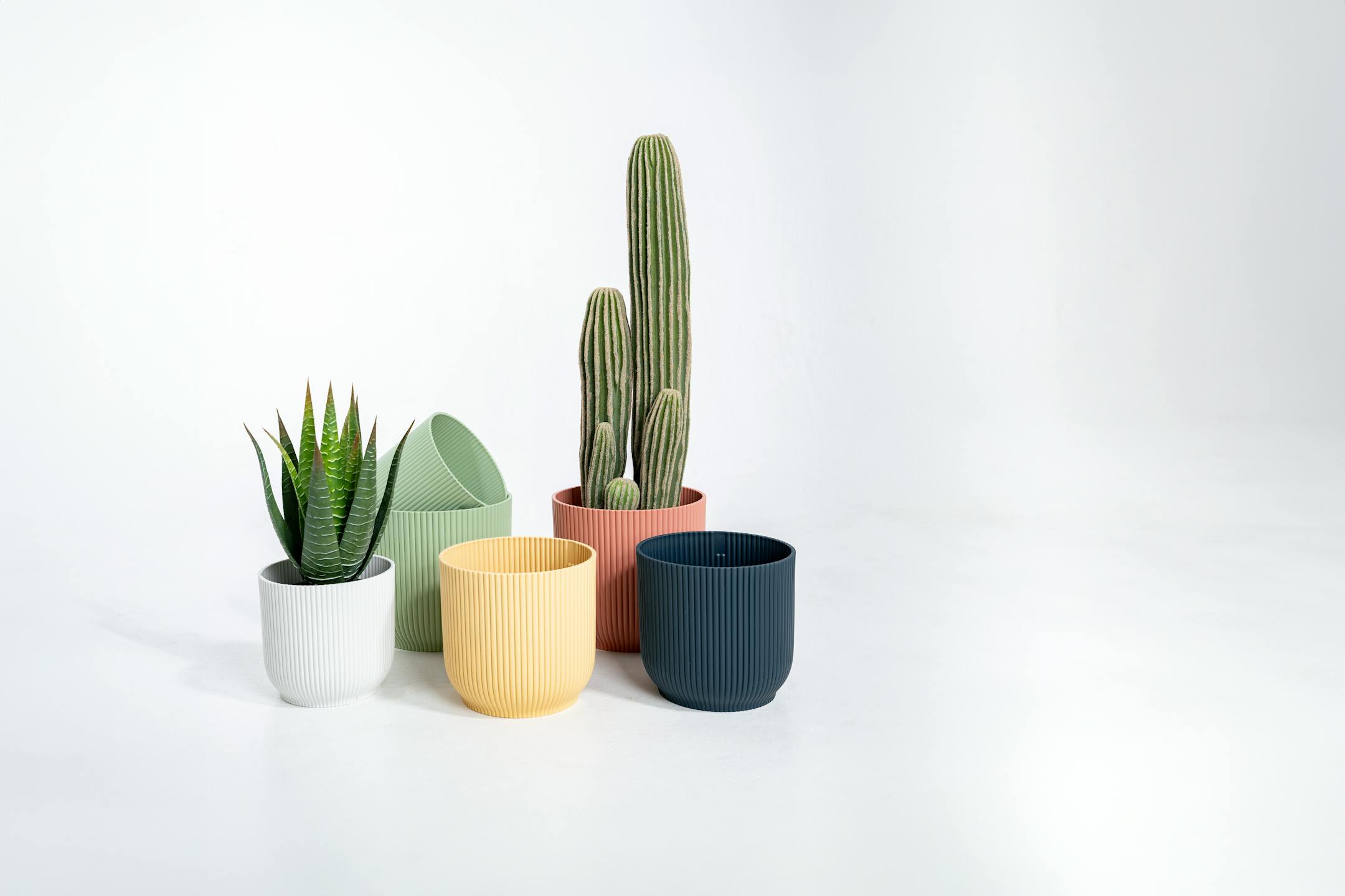 Artificial cactus and succulents with colourful pots