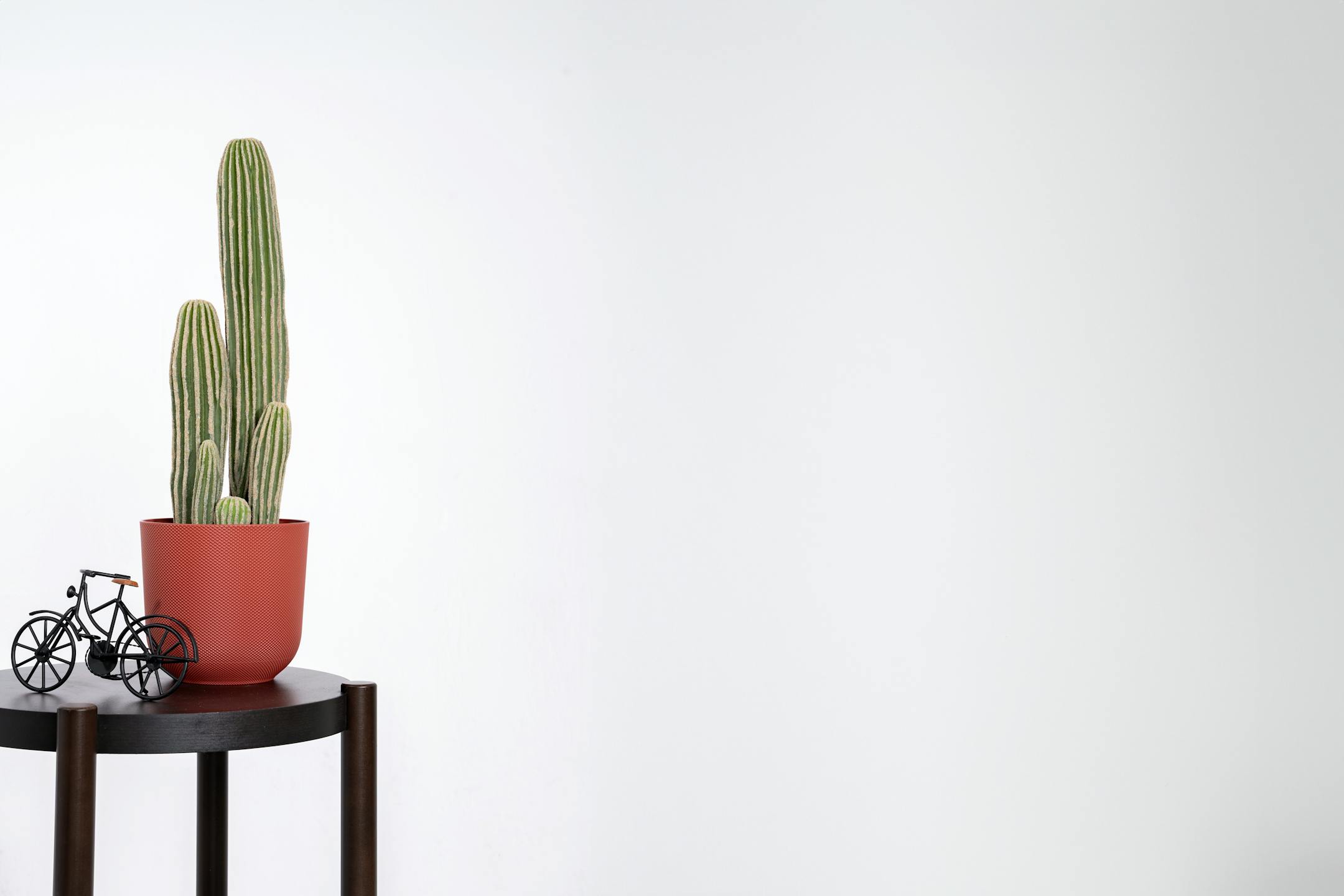 Artificial San Pedro cactus styled on table with ornament