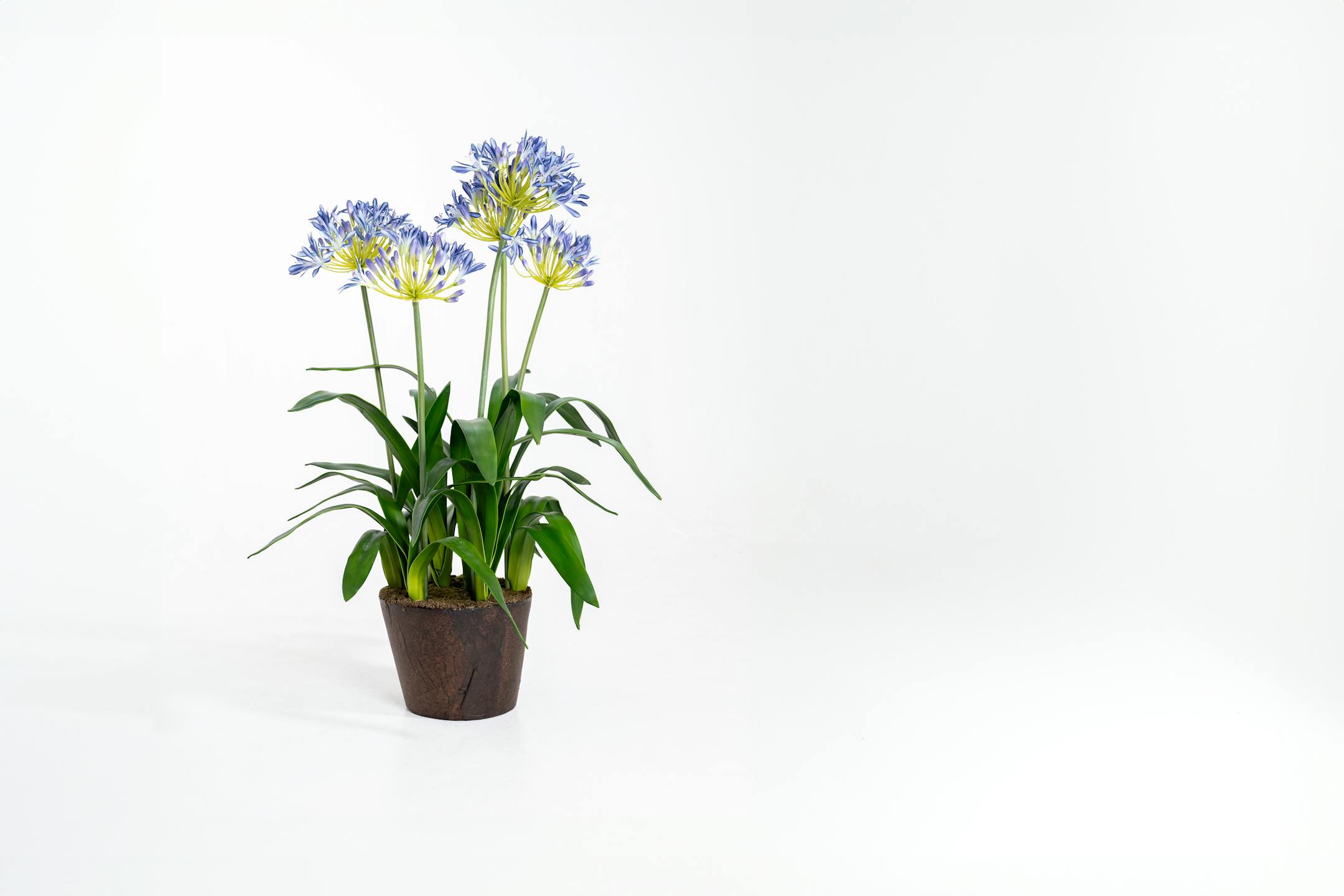 Faux blue artificial agapanthus flower