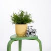 Artificial bamboo bush in yellow pot on green stool