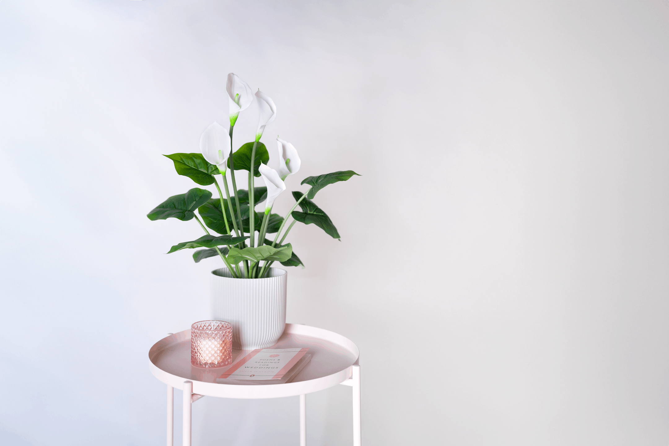 Artificial calla lily flowering houseplant on pink table