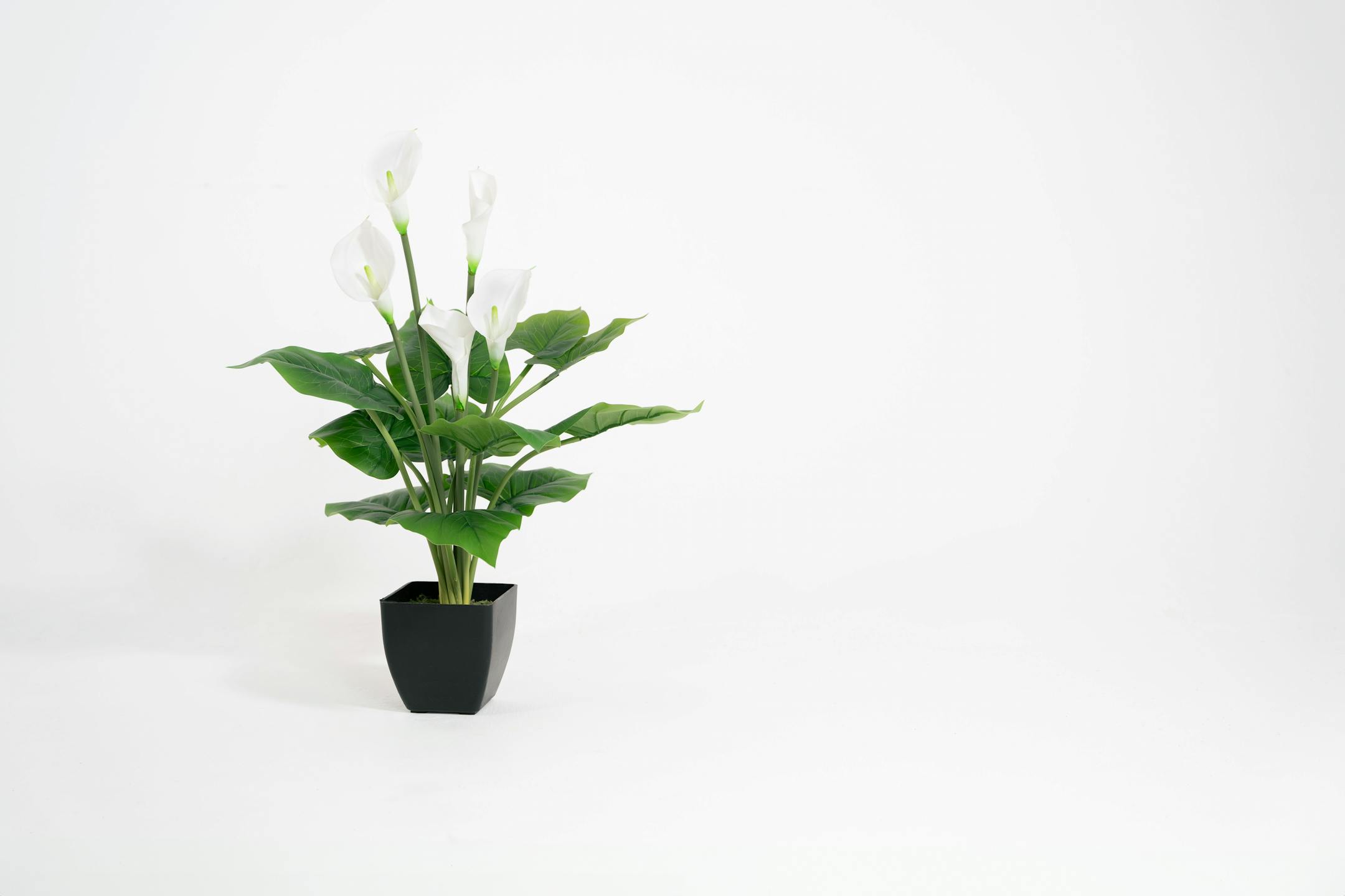Artificial calla lily
