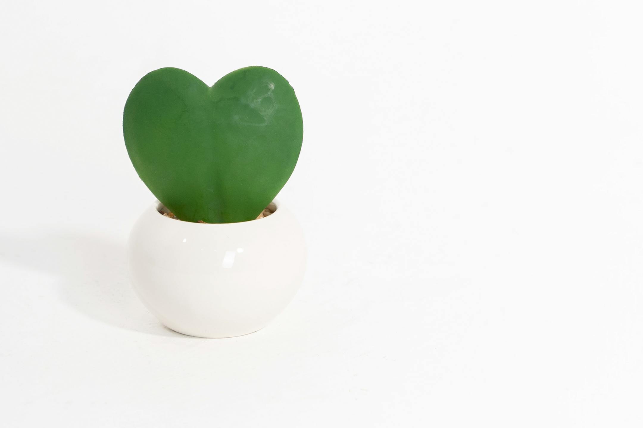 Artificial hoya heart plant in white cement pot