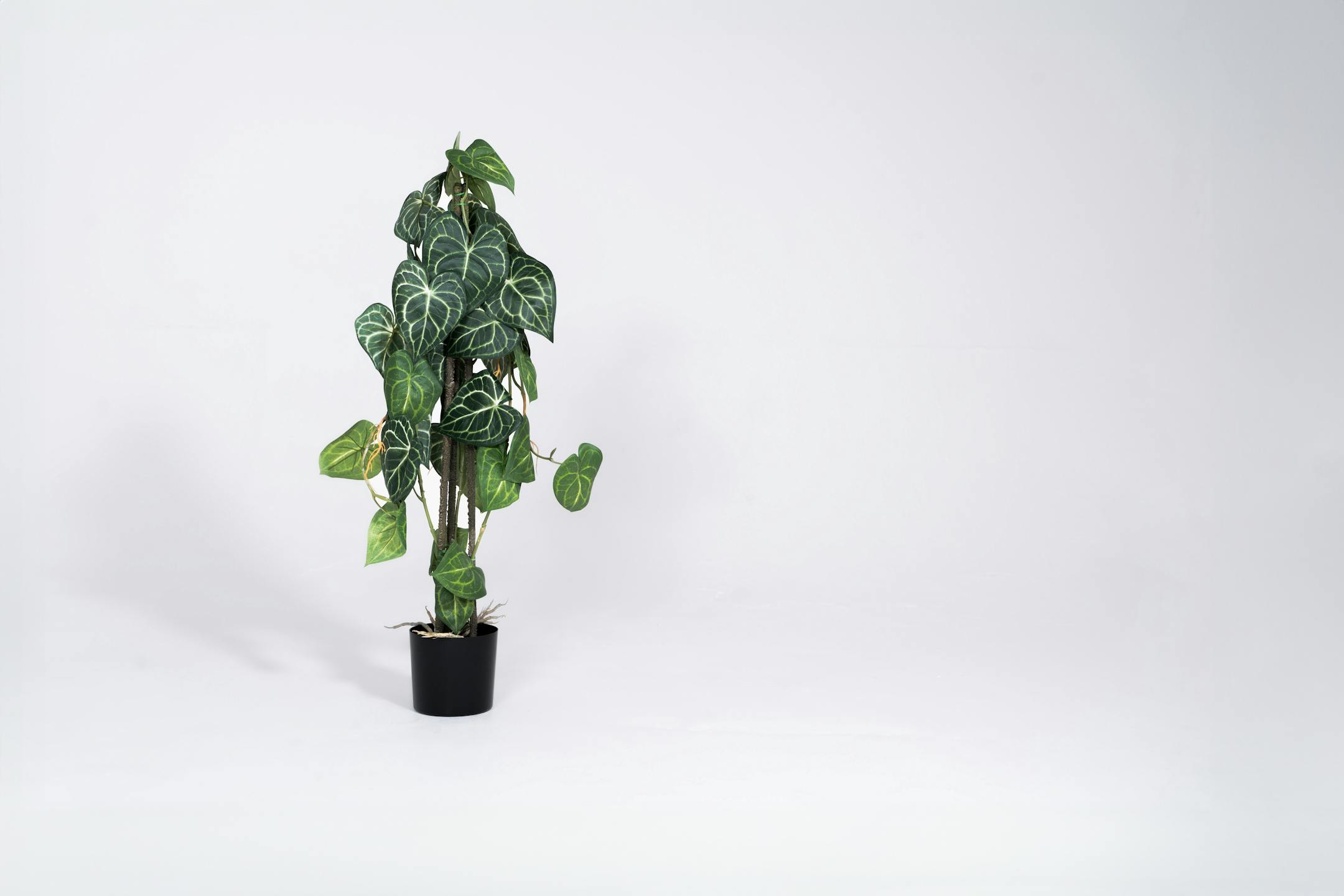 artificial anthurium houseplant
