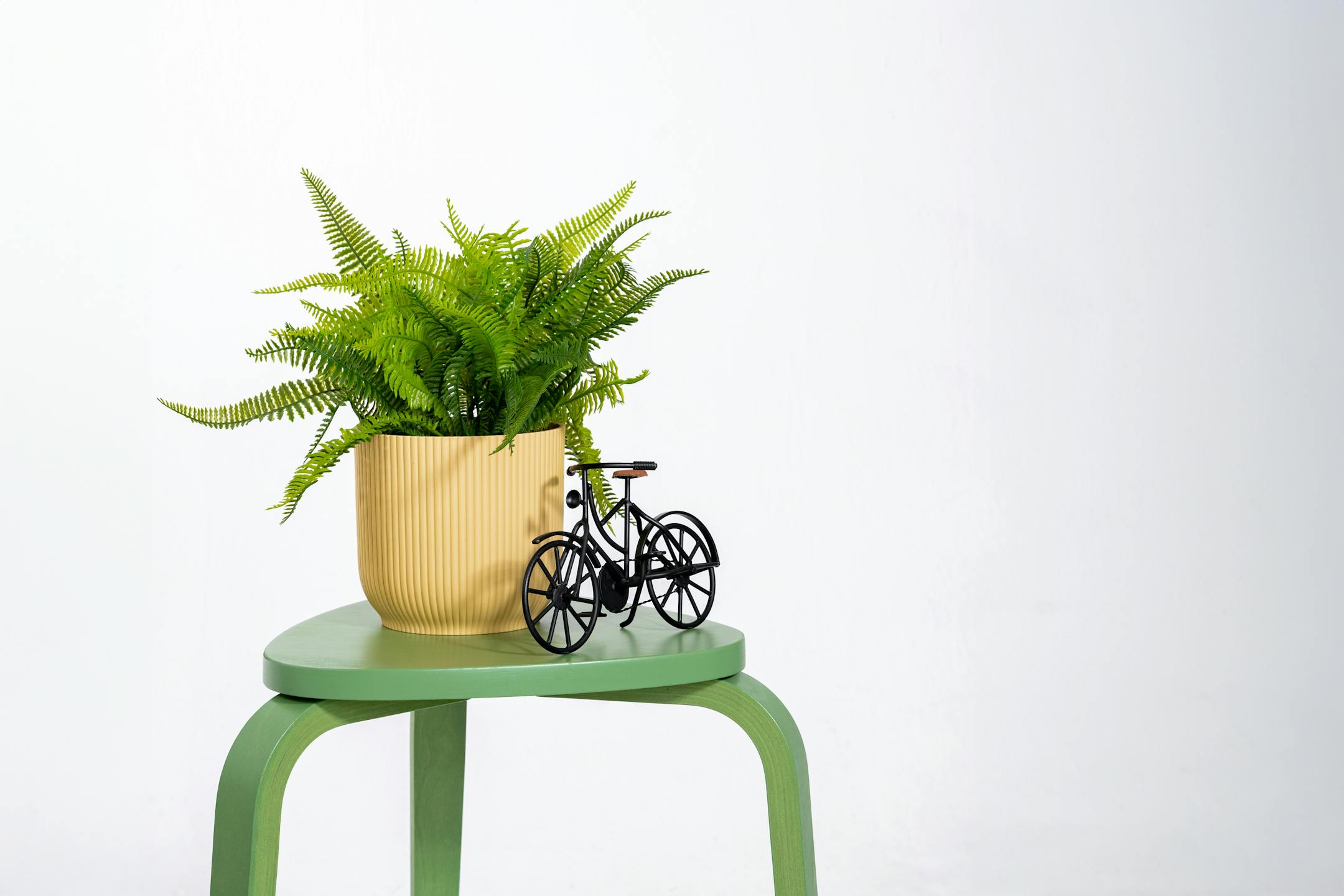Artificial fern bush on green stool