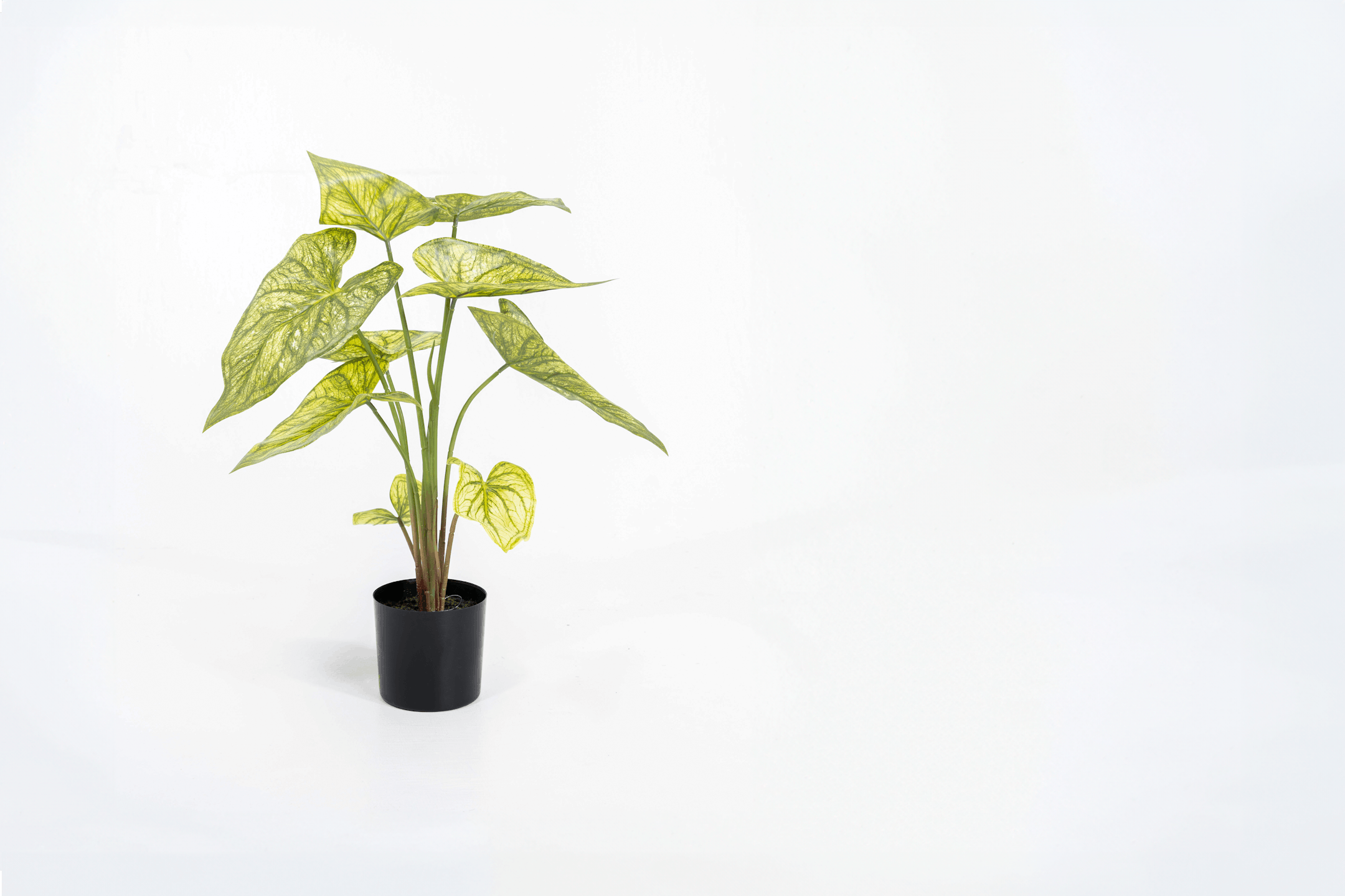 Artificial green caladium houseplant