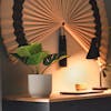 Artificial monstera on wooden desk in evening