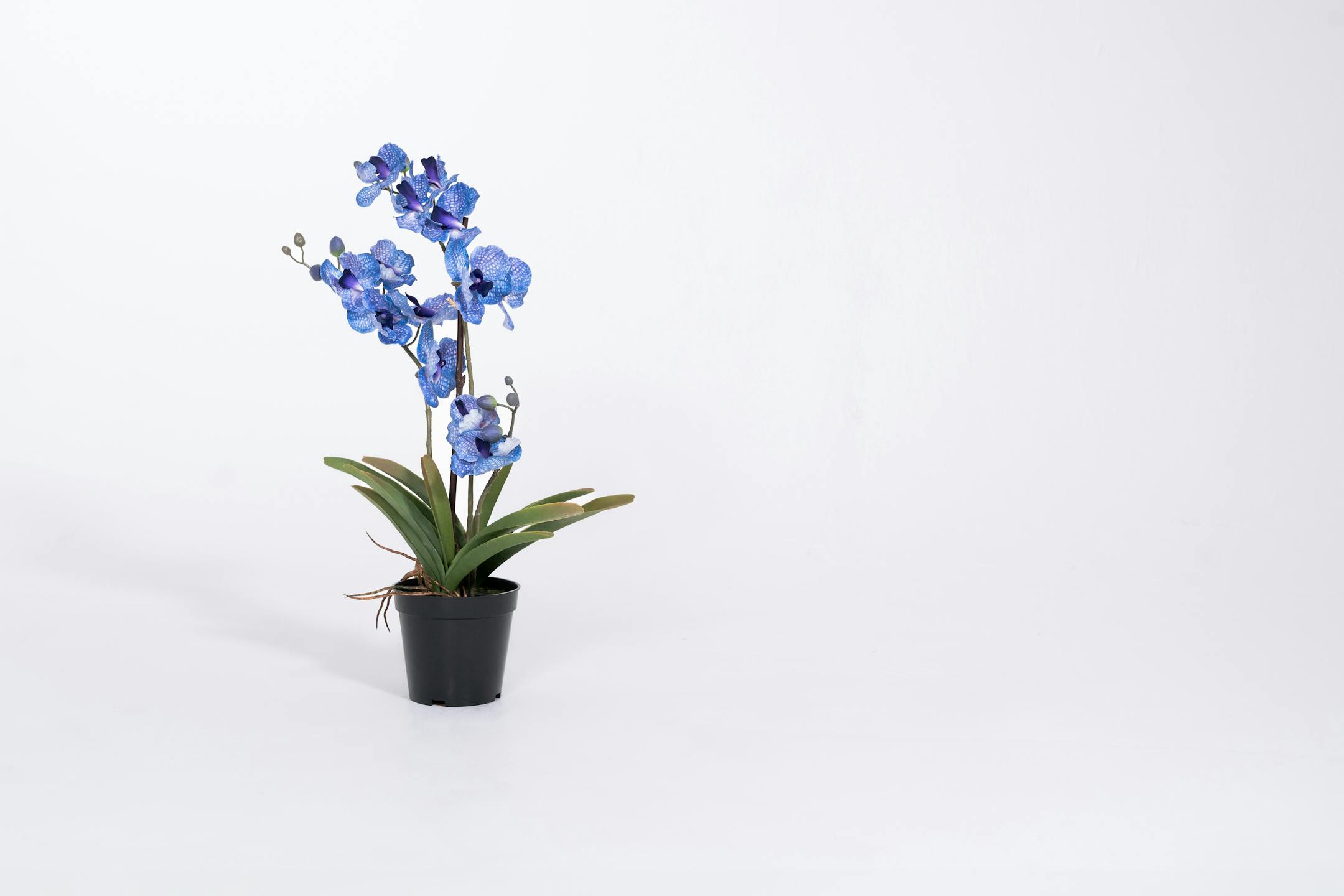 Purple artificial vanda orchid