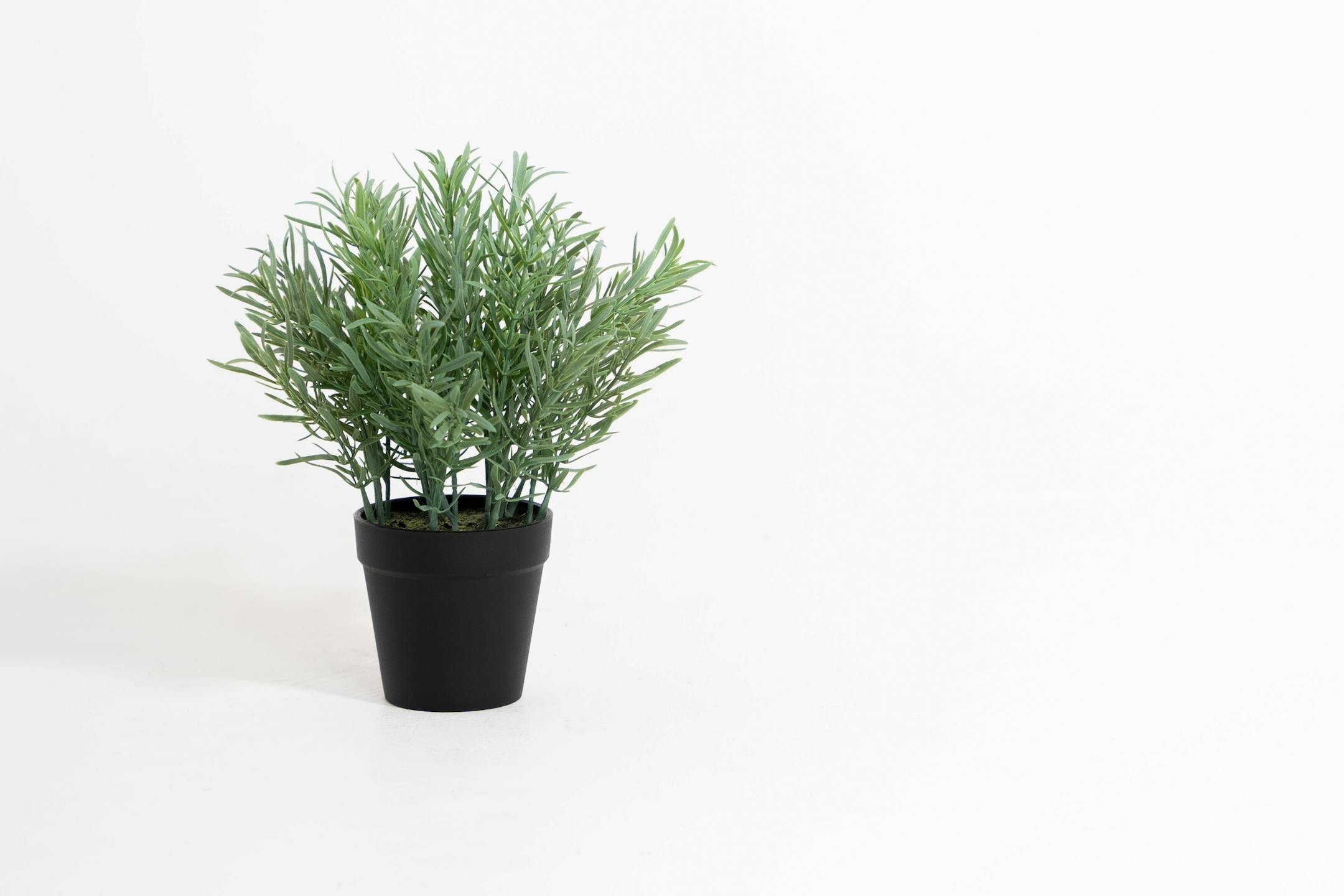 Artificial rosemary plant