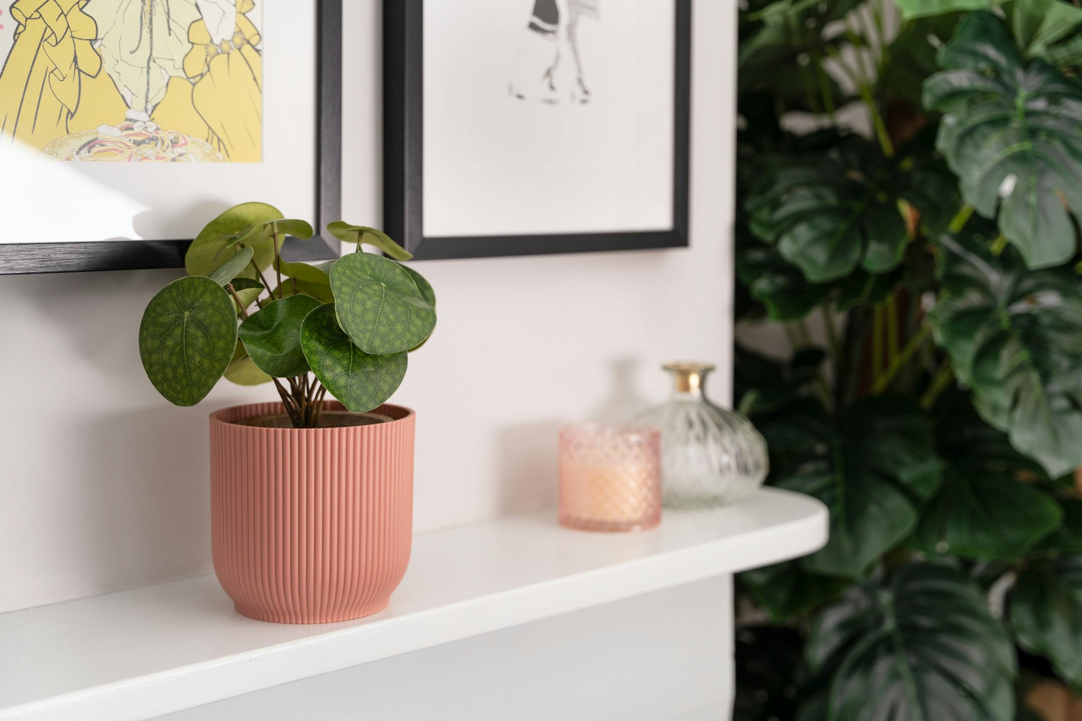Artificial pilea bush in pink vibes pot on white shelf