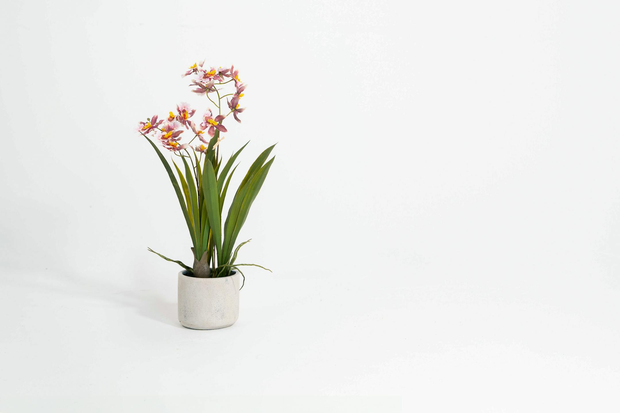 Artificial pink onicidium orchid