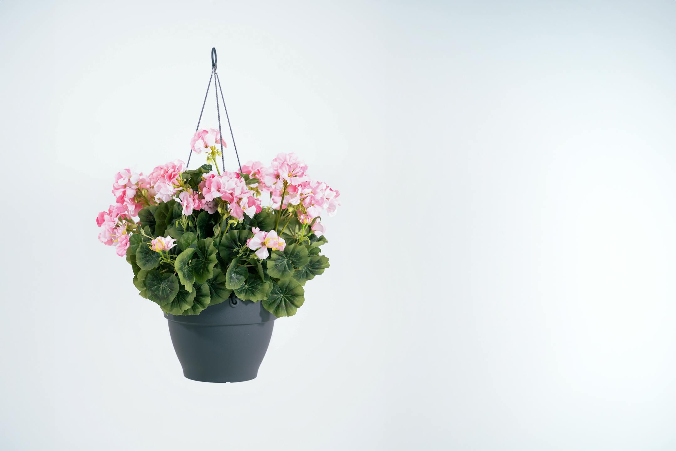 Artificial geranium hanging basket - diy assembly