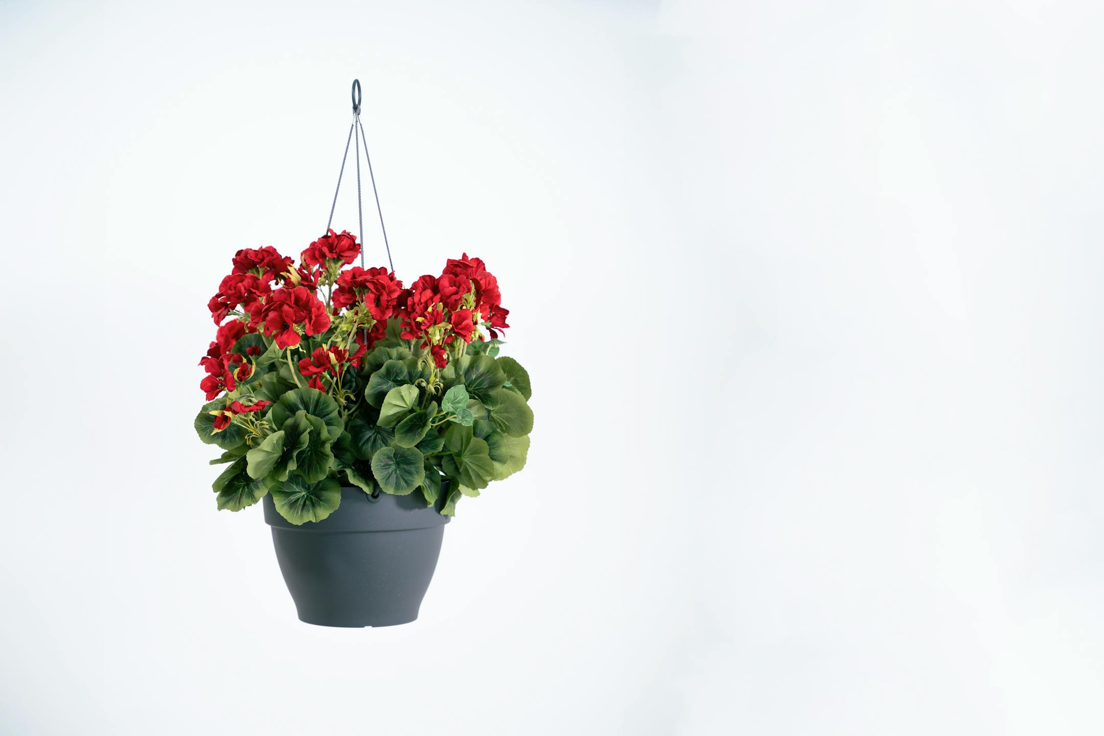 Red geranium diy fake hanging basket