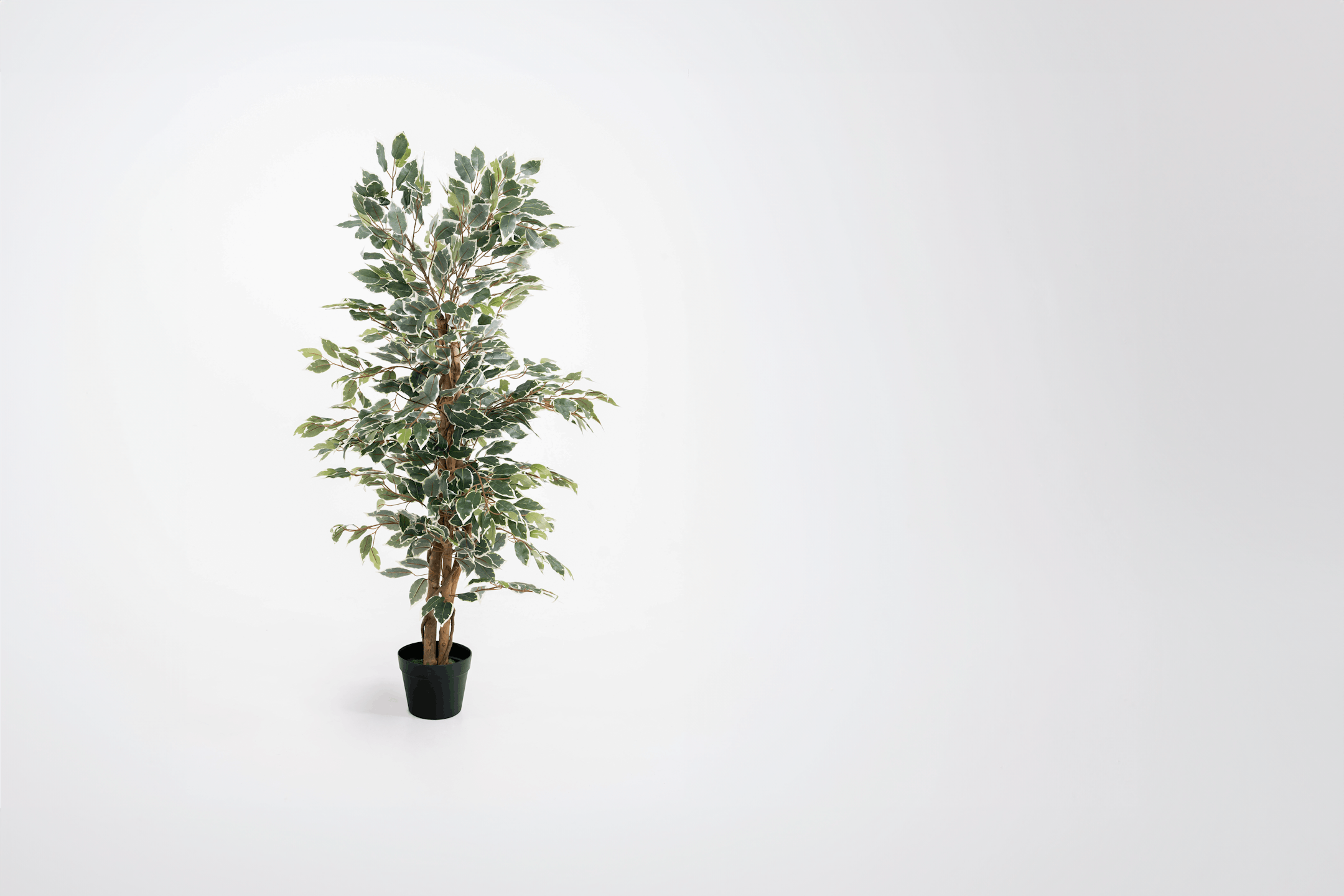 120cm variegated artificial ficus tree