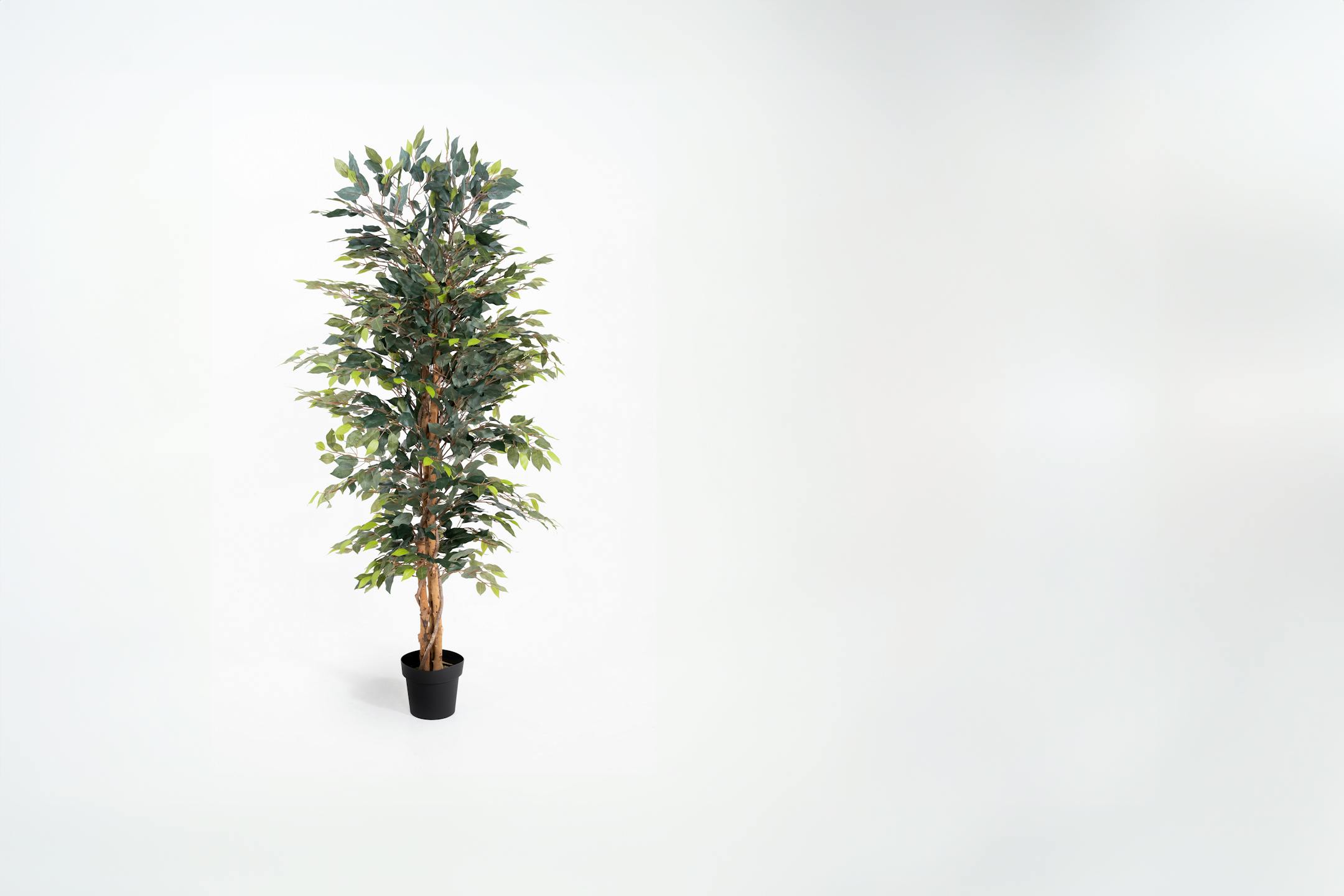 150cm green artificial ficus tree