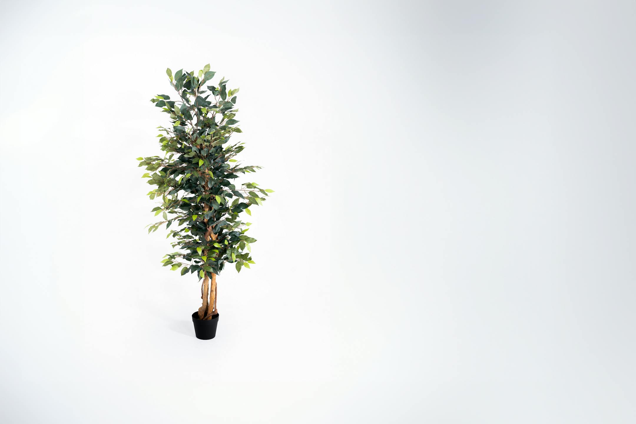 180cm green artificial ficus tree