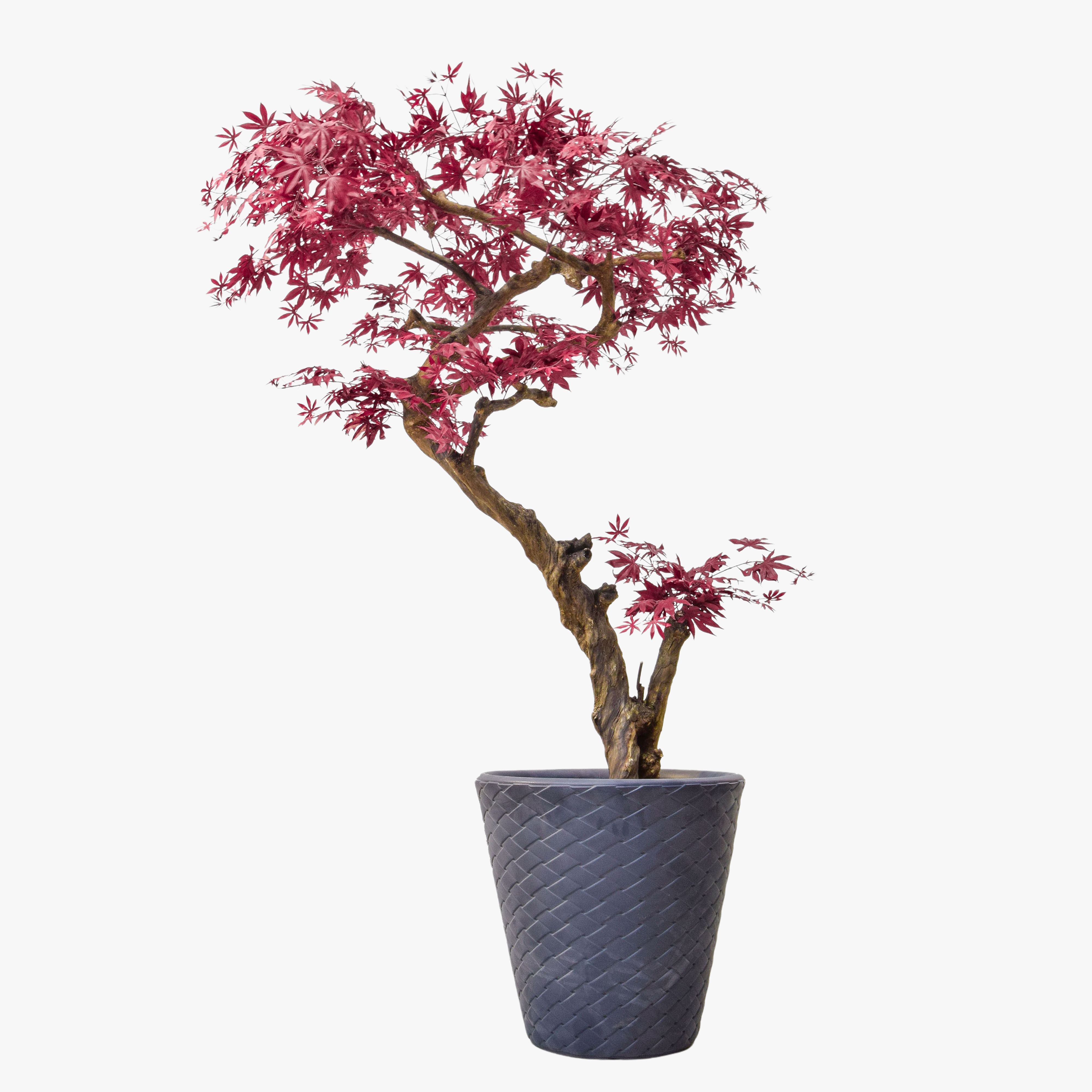 Artificial ornamental maple tree