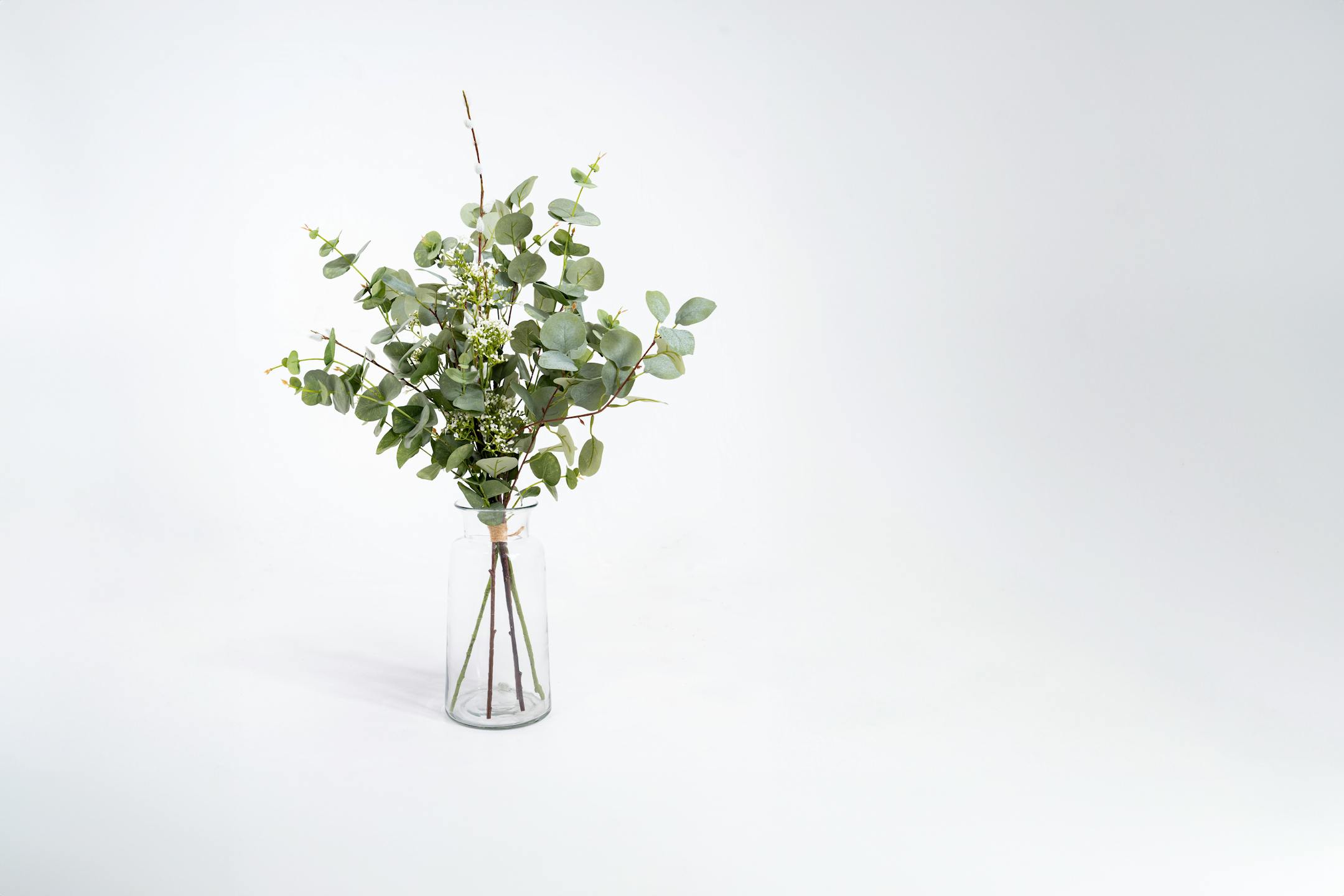 Artificial eucalyptus bunch in glass vase