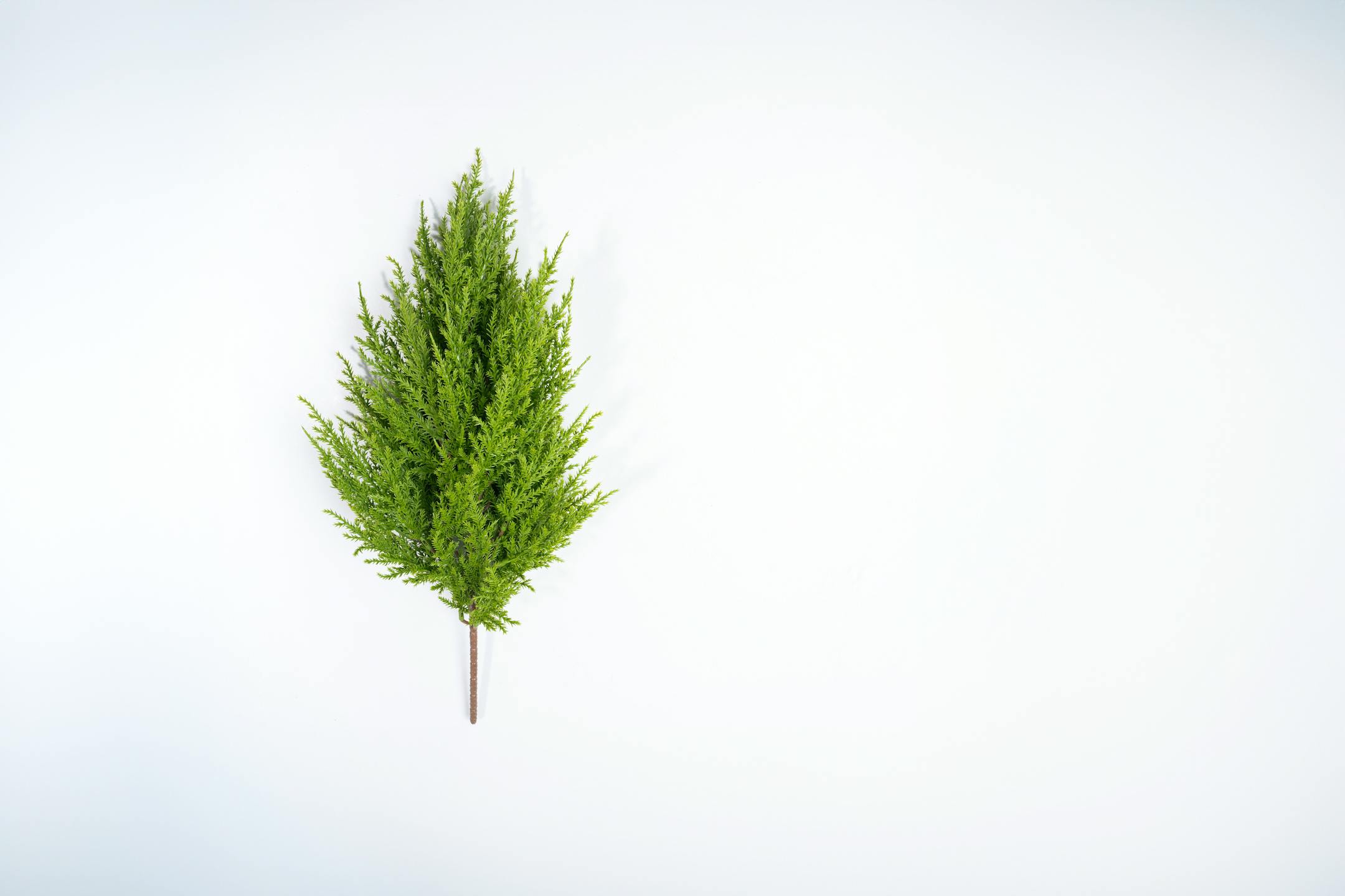 Artificial mini cedar pine