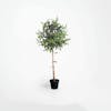 Artificial 120cm olive ball tree