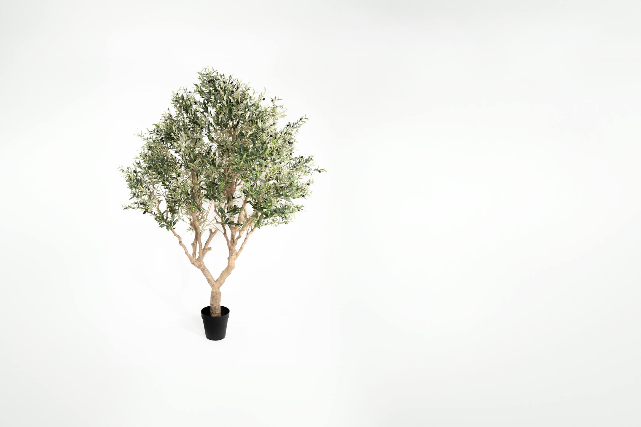 Artificial giant olive tree