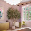 Faux giant olive tree in pink interior