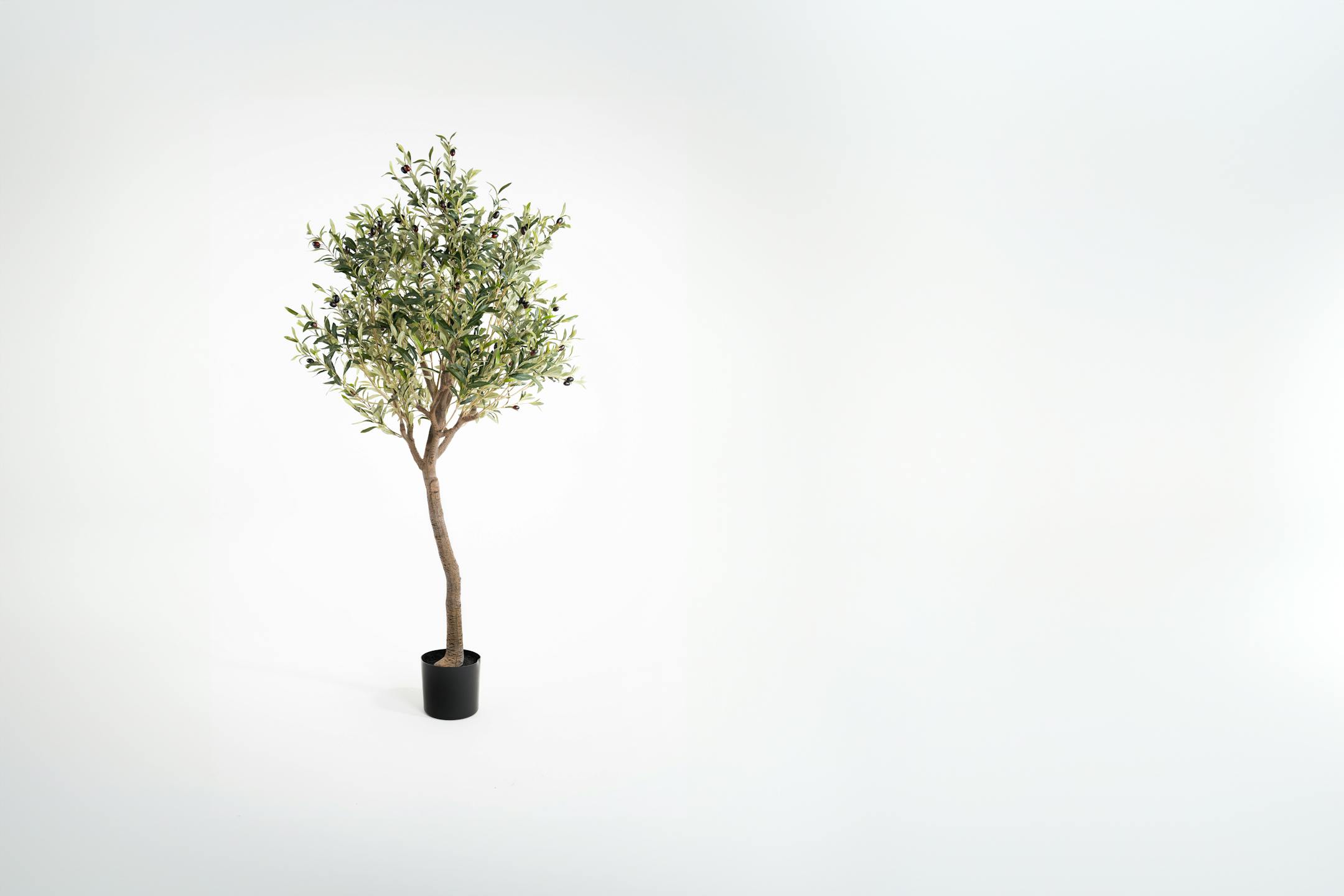 Artificial ligurian olive tree