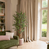 Faux olive tree in neutral living room with window
