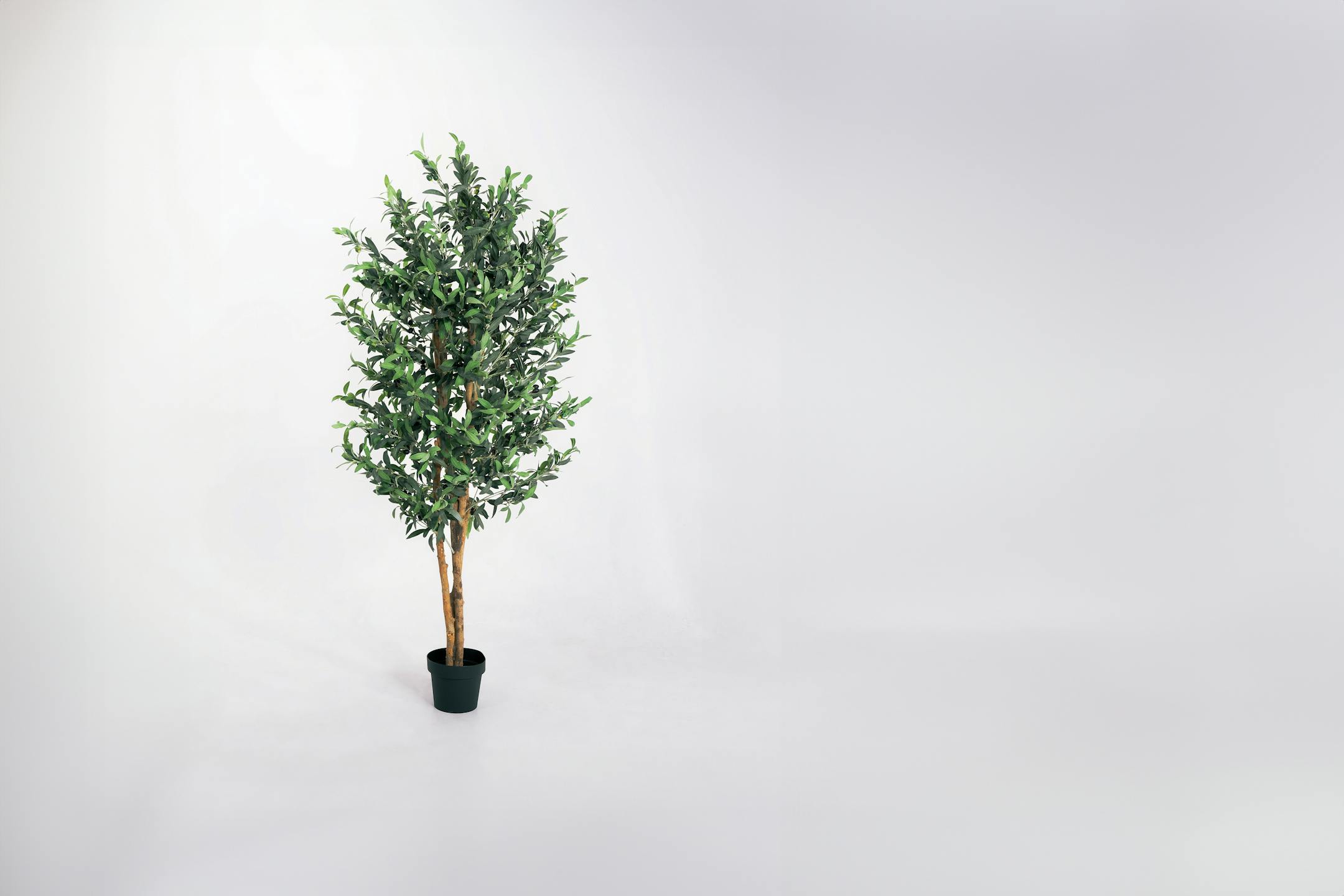 Artificial olive tree