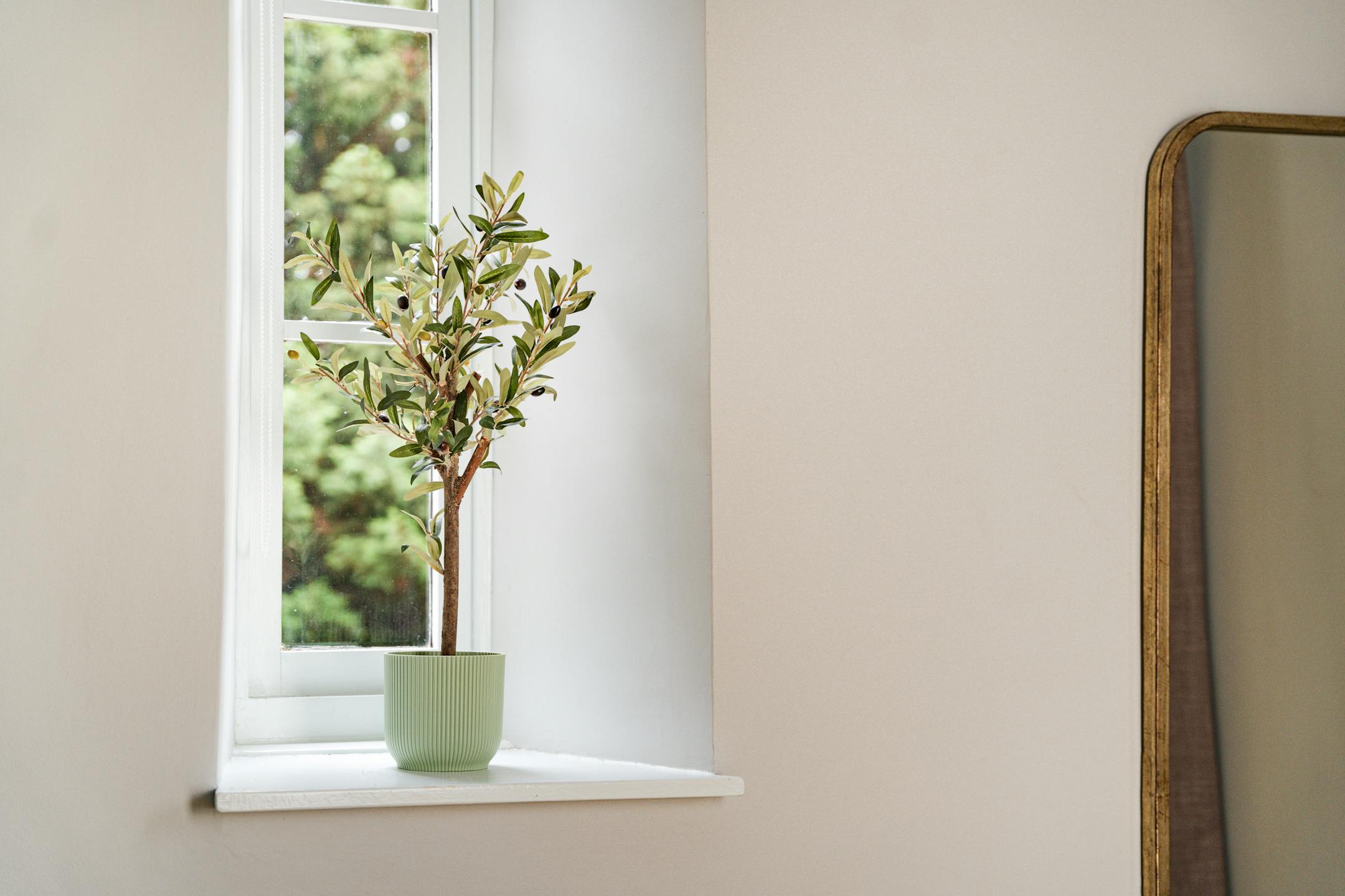Artificial mini olive tree on window sill