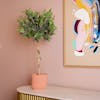 Artificial 90cm olive ball tree with colourful art