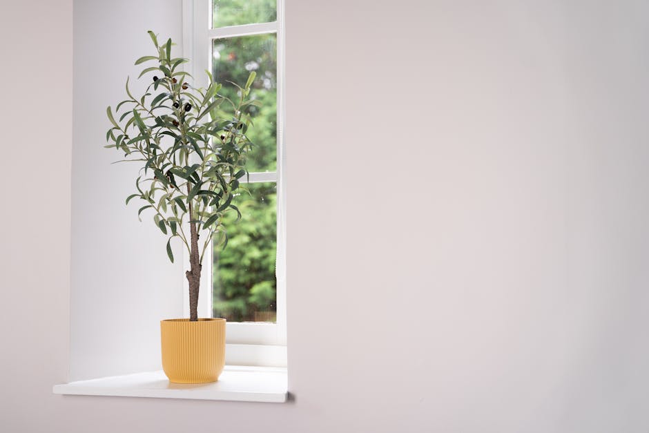 Small faux Tuscan olive tree on window sill