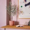 Faux small Tuscan olive tree in pink office
