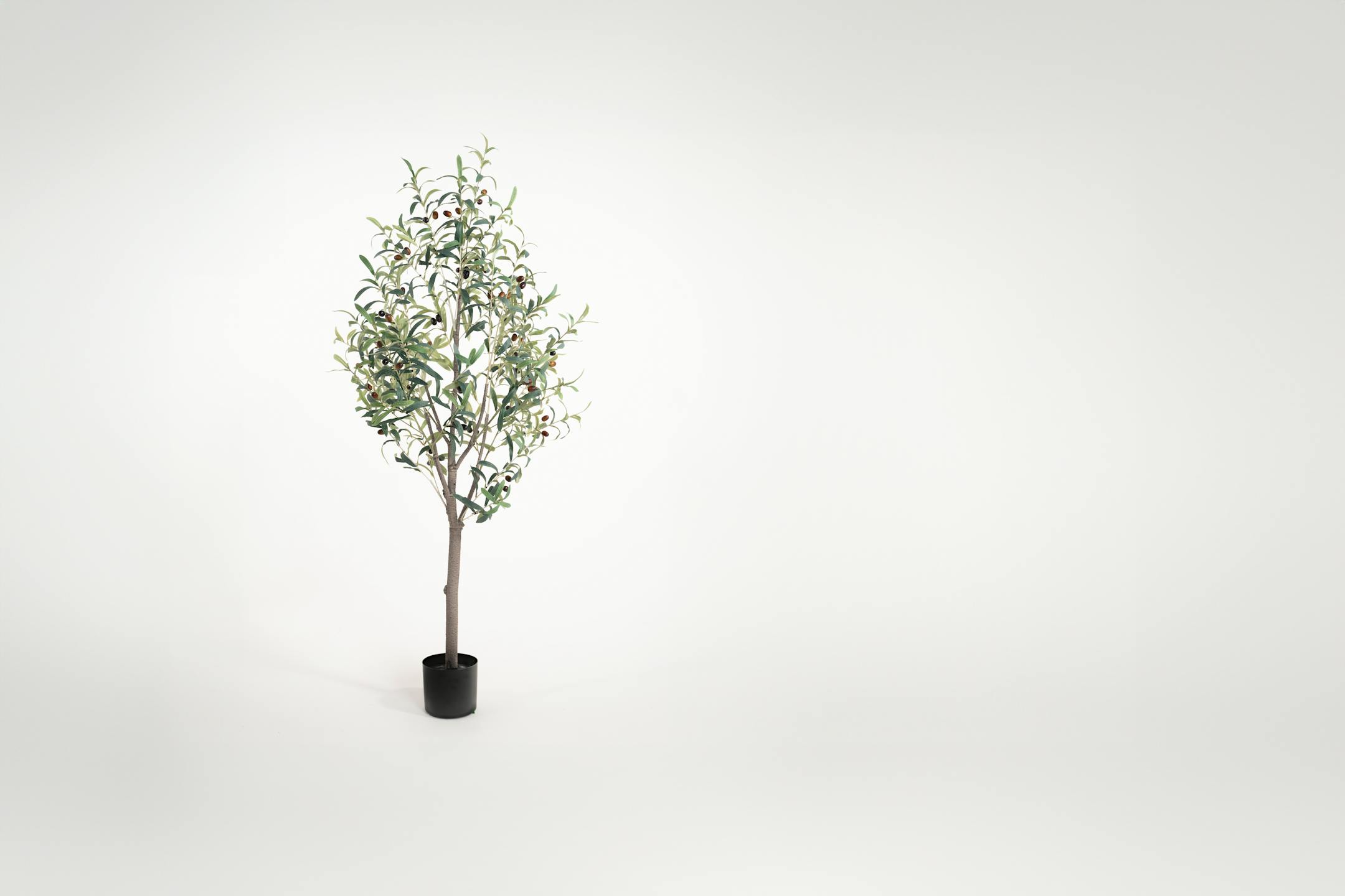 Large artificial tuscan olive tree