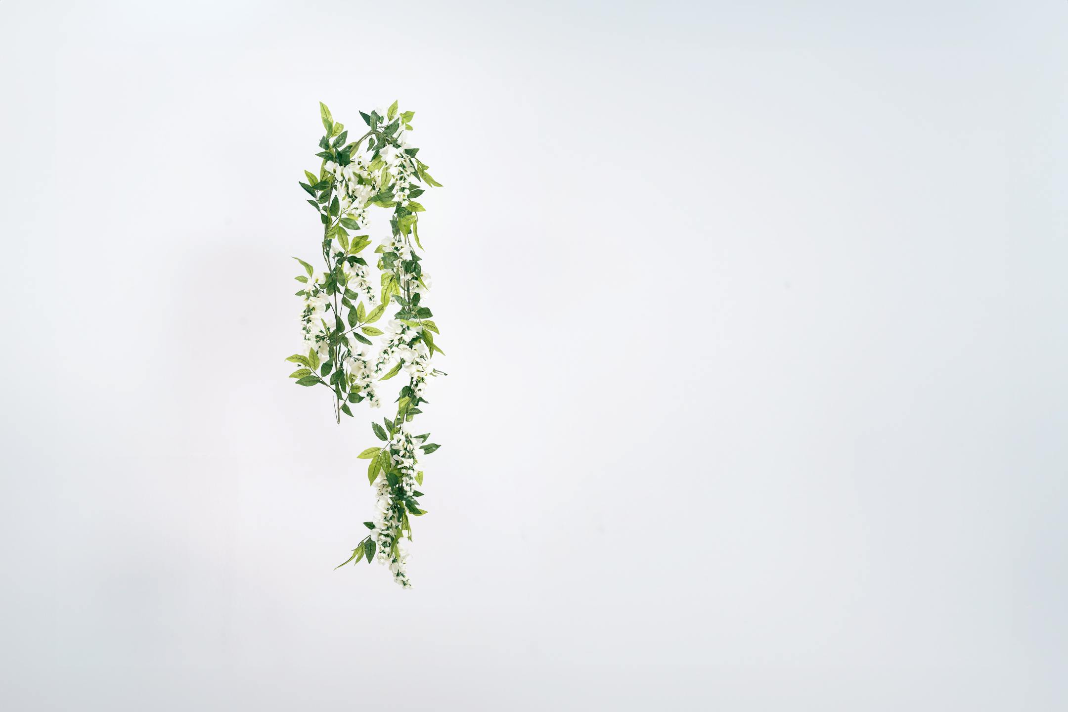 Artificial cream wisteria garland