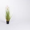 Artificial 2ft 60cm foxtail grass indoor plant studio shot