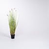 90cm 3ft fake foxtail grass decorative indoor plant studio shot
