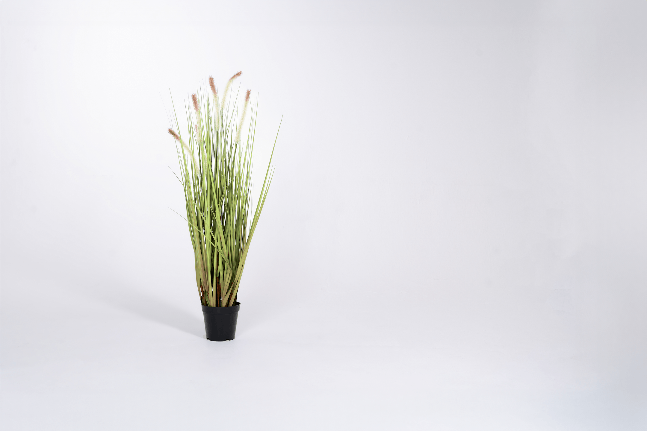 90cm 3ft fake foxtail grass decorative indoor plant studio shot