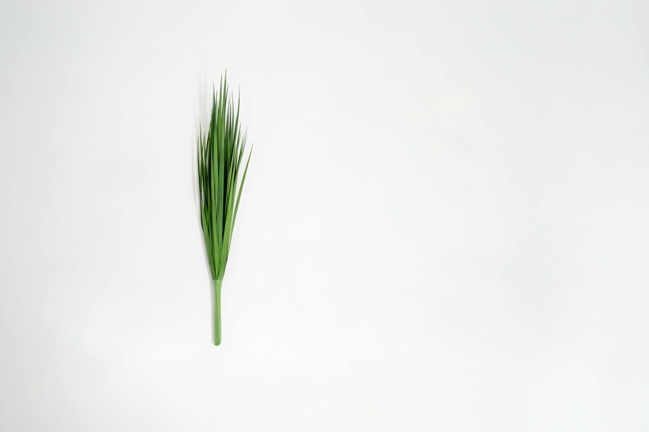 Artificial grass stem