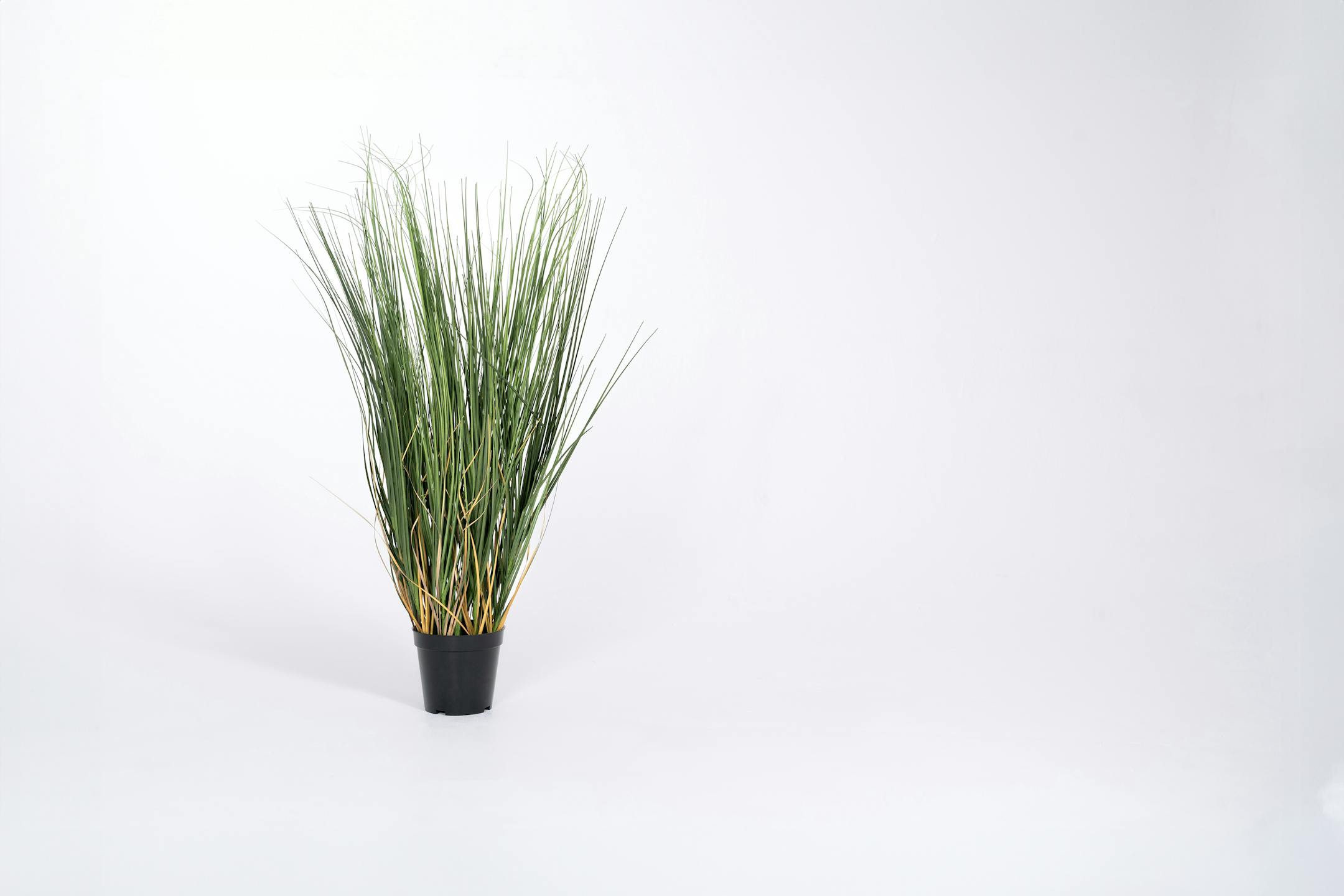 80cm-artificial-onion-grass-plant
