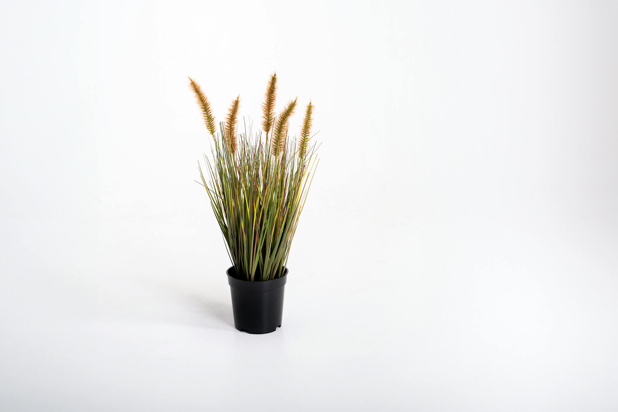 Small artificial ornamental grass plants