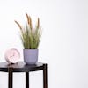 Artificial ornamental grass plant on wooden table with pink clock