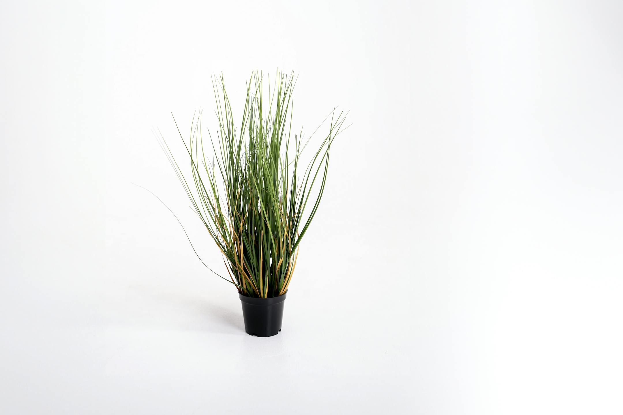 45cm artificial onion grass plant