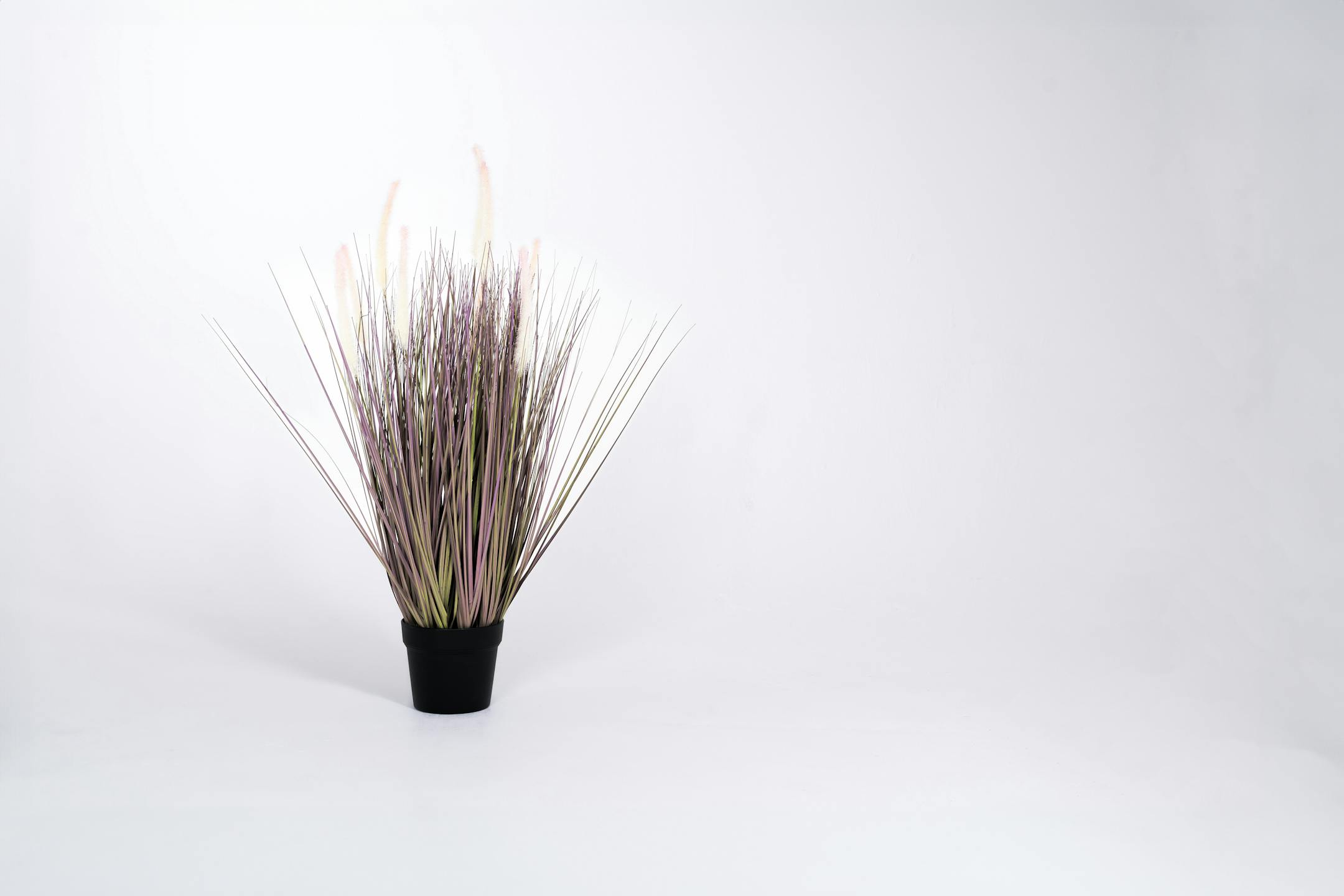 Small artificial pennisetum grass plant