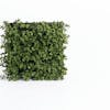 Artificial buxus top foliage wall mat